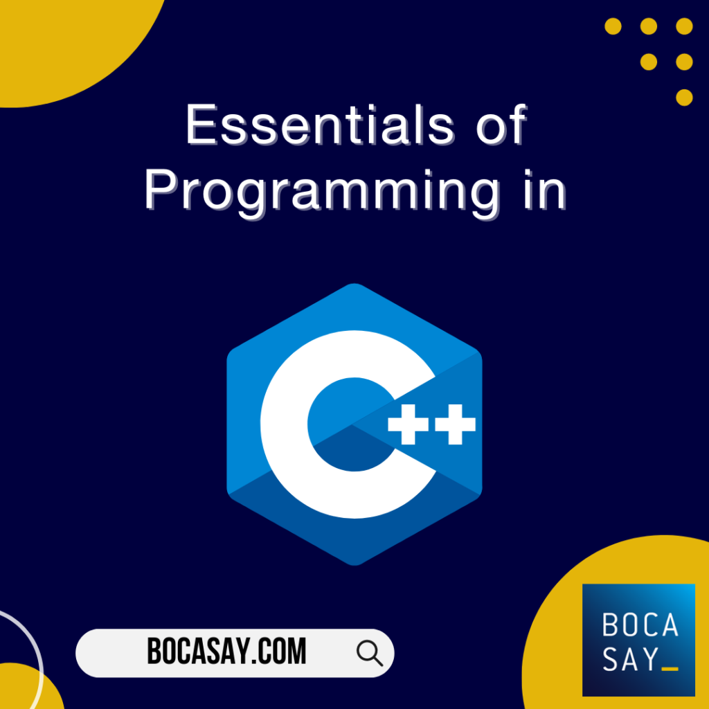 C The Basics Of One Of The Most Popular Programming Languages