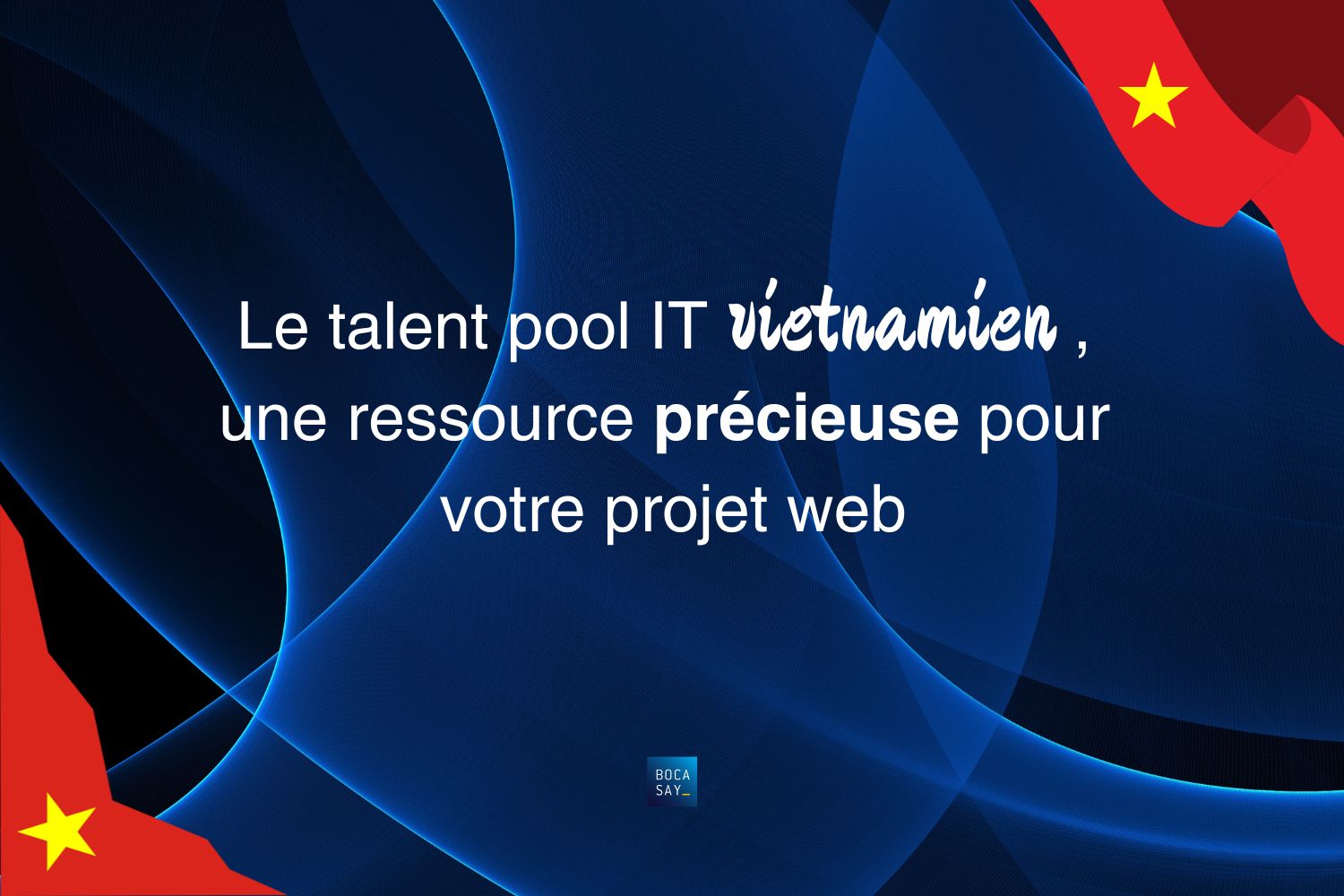 Le talent pool IT vietnamien une ressource précieuse pour votre projet web.